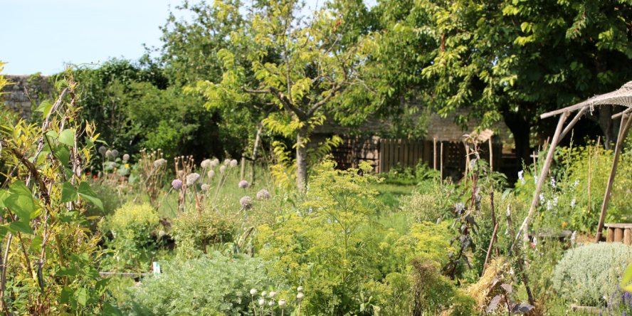 Jardin sauvage © Nicolas Macaire / LPO